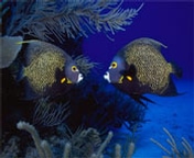n72.jpg