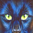 pantha2.jpg