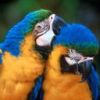 animal015.jpg