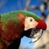 animal023.jpg