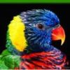 animal029.jpg