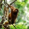 animal076.jpg