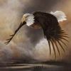 eagle2.jpg