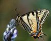 misc_00120.jpg