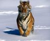 misc_01155.jpg