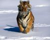 misc_01156.jpg