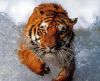 misc_01157.jpg