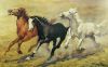 !cid_3545354842000007@web59206_mail_re1_yahoo.jpg
