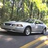 car_75.jpg