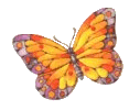 7.gif