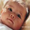 005.jpg