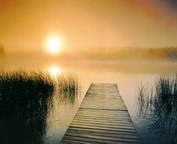 misc_00568.jpg