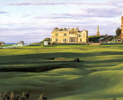misc_00938.jpg