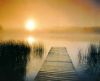 misc_00568.jpg