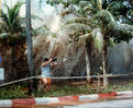 tsunami-photographer.jpg