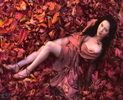 misc_00010.jpg
