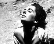misc_00266.jpg
