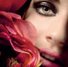 b1356.jpg