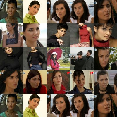 collagepq4dy3.jpg