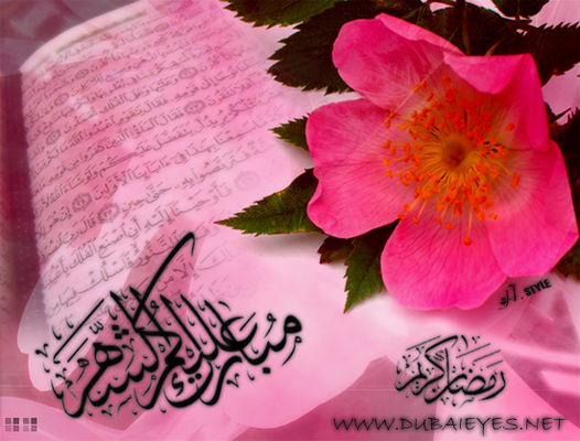 islamyh-013.jpg