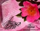 islamyh-013.jpg