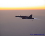 misc_00179.jpg