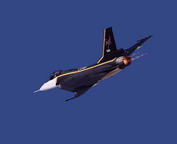 misc_00702.jpg