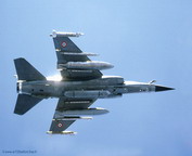 misc_00810.jpg