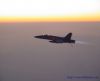 misc_00179.jpg