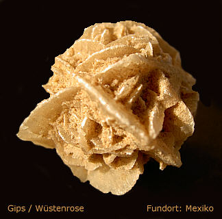 WP00019-Gips.jpg