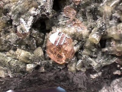 GROSSULAR3.jpg