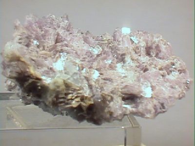 معدن بوليثونايت POLYLITHIONITE.jpg
معدن بوليثونايت POLYLITHIONITE.jpg
الكلمات الإستدلالية(لتسهيل البحث): معدن بوليثونايت POLYLITHIONITE.jpg