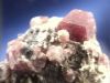 اسم الصورة=GROSSULAR2.jpg
حجم الملف=12كيلوبايت
الأبعاد=320x240
تاريخ الإضافة=%747 %09, %2008 GROSSULAR2.jpg