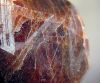 andradite3.jpg