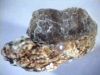 اسم الصورة=muscovit.jpg
حجم الملف=19كيلوبايت
الأبعاد=320x240
تاريخ الإضافة=%747 %09, %2008 muscovit.jpg