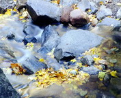 misc_00699.jpg