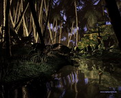 misc_00776.jpg