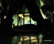 misc_00777.jpg