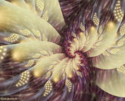 misc_00790.jpg