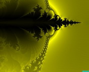 misc_00793.jpg