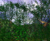 misc_01009.jpg