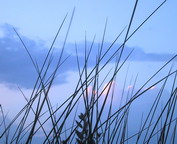 misc_01086.jpg