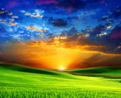 misc_01089.jpg