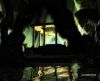 misc_00777.jpg