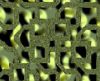 misc_00782.jpg