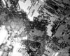 misc_00849.jpg