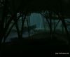 misc_00897.jpg
