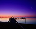 misc_01063.jpg