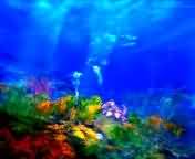 3d_ocean_024.jpg
