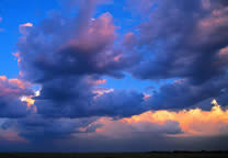 Forces_of_nature_003.jpg